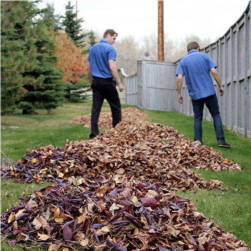 Two PPC Employees Raking Leaves in a Commercial Cleaning | Picture Perfect Cleaning 